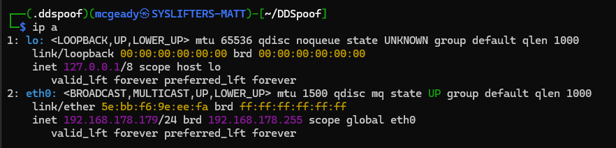 IP-Address from local network